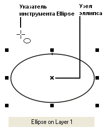Эллипс, рамка выделения, указатель инструмента Ellipse (Эллипс) и сообщение в строке состояния