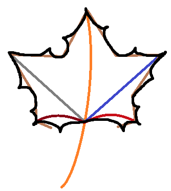 Удалить основу-пятиугольник. Кистью толщиной 3, опираясь на контур, прорисовываем лист с зазубринами.